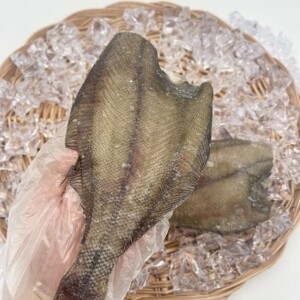 반건조 참가자미 5미