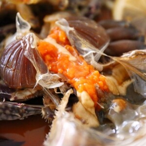 [5월 식품기획]26년전통맛집 연평도 암꽃게 알배기 간장게장1.6kg(3-4미)