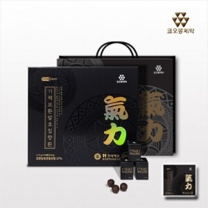 코오롱제약 기력보환 발효침향환60환 침향27% 고함량 녹용 옥타코사놀 마카(3.75g * 60환(225g))