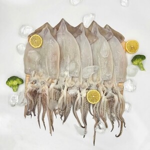 손질오징어 500g 내외 (3~5미)