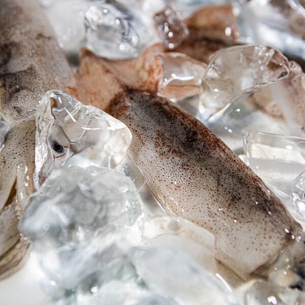 우주스토어,손질오징어 500g 내외 (3~5미)