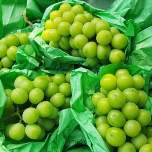 (가정용) 샤인머스켓 1kg (2-3수),2kg (3-5수)