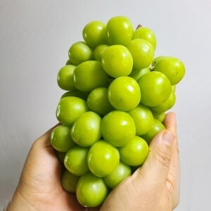 (정품) 샤인머스켓 2kg (2-3수)