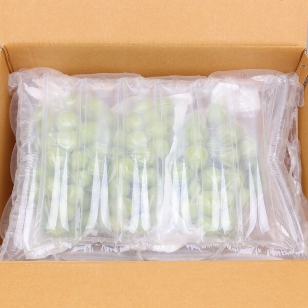 우주스토어,(프리미엄) 샤인머스켓 750g (1수),1.6kg (2수)