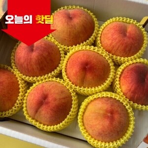 [07/17 5시 OPEN][핫딜] 30년 노하우 고당도 황도 복숭아 2,4kg