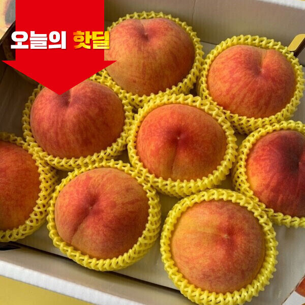 우주스토어,[07/17 5시 OPEN][핫딜] 30년 노하우 고당도 황도 복숭아 2,4kg