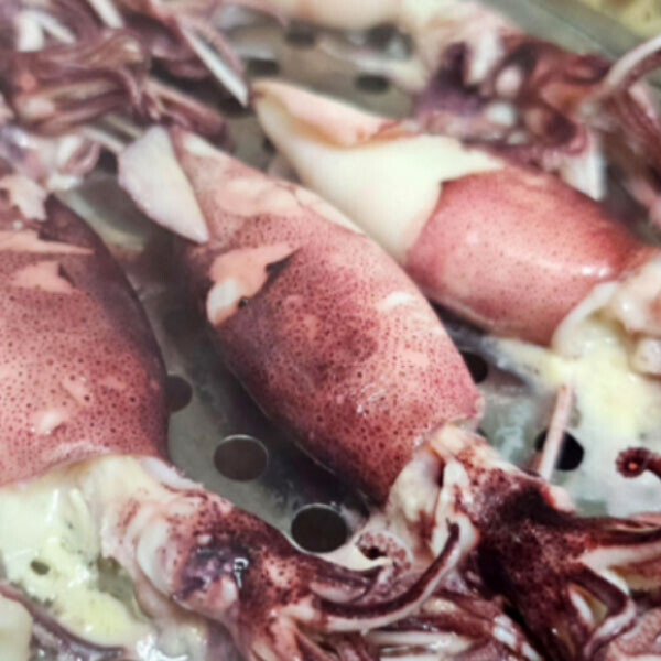 우주스토어,[07/17 5시 OPEN][핫딜] 제주생물 총알한치 1kg (빙장포장)