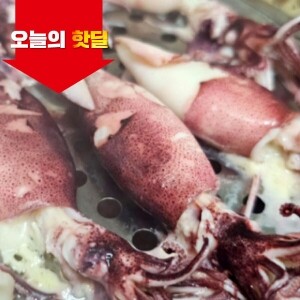 [07/17 5시 OPEN][핫딜] 제주생물 총알한치 1kg (빙장포장)