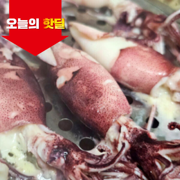우주스토어,[07/17 5시 OPEN][핫딜] 제주생물 총알한치 1kg (빙장포장)